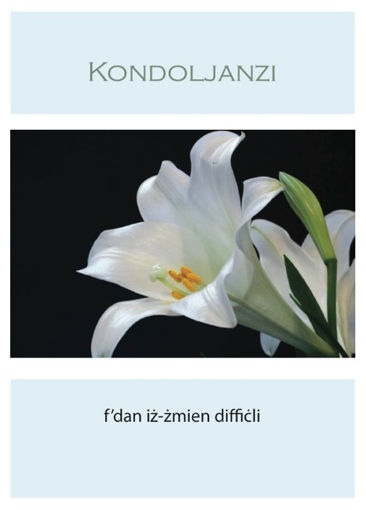 Picture of KONDOLJANZI FDAN IZ-ZMIEN DIFFICLI KARTOLINA